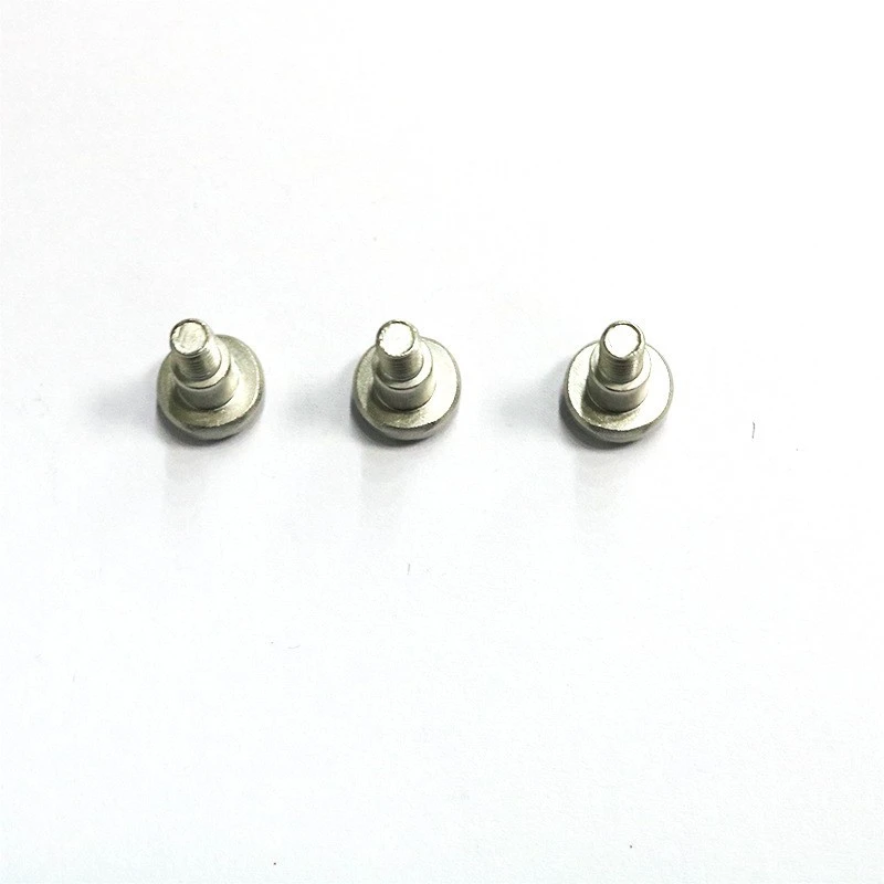Stainless Steel Step Bolts